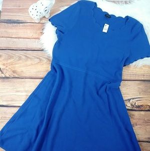 NWT Talbot women's dress xl blue